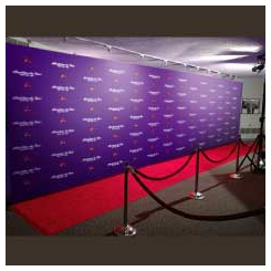 24x8 Wooden Backdrop with Vinyl